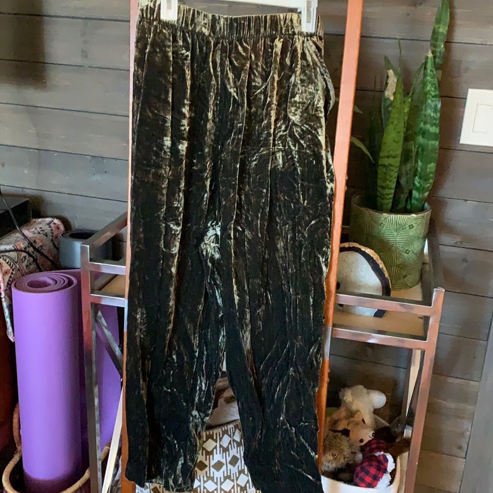 Anthropology ETT:TWA crushed velvet boho pants XL